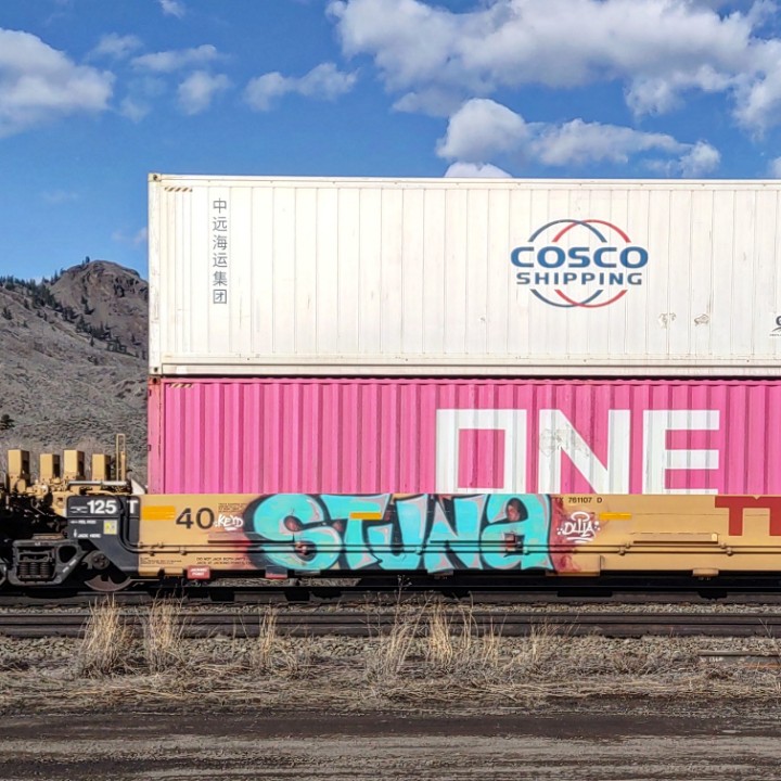 GraffitiExpress's tweet photo. stuna
#kamloops #train #graffiti #art
#stuna https://t.co/CcecgCdUkp