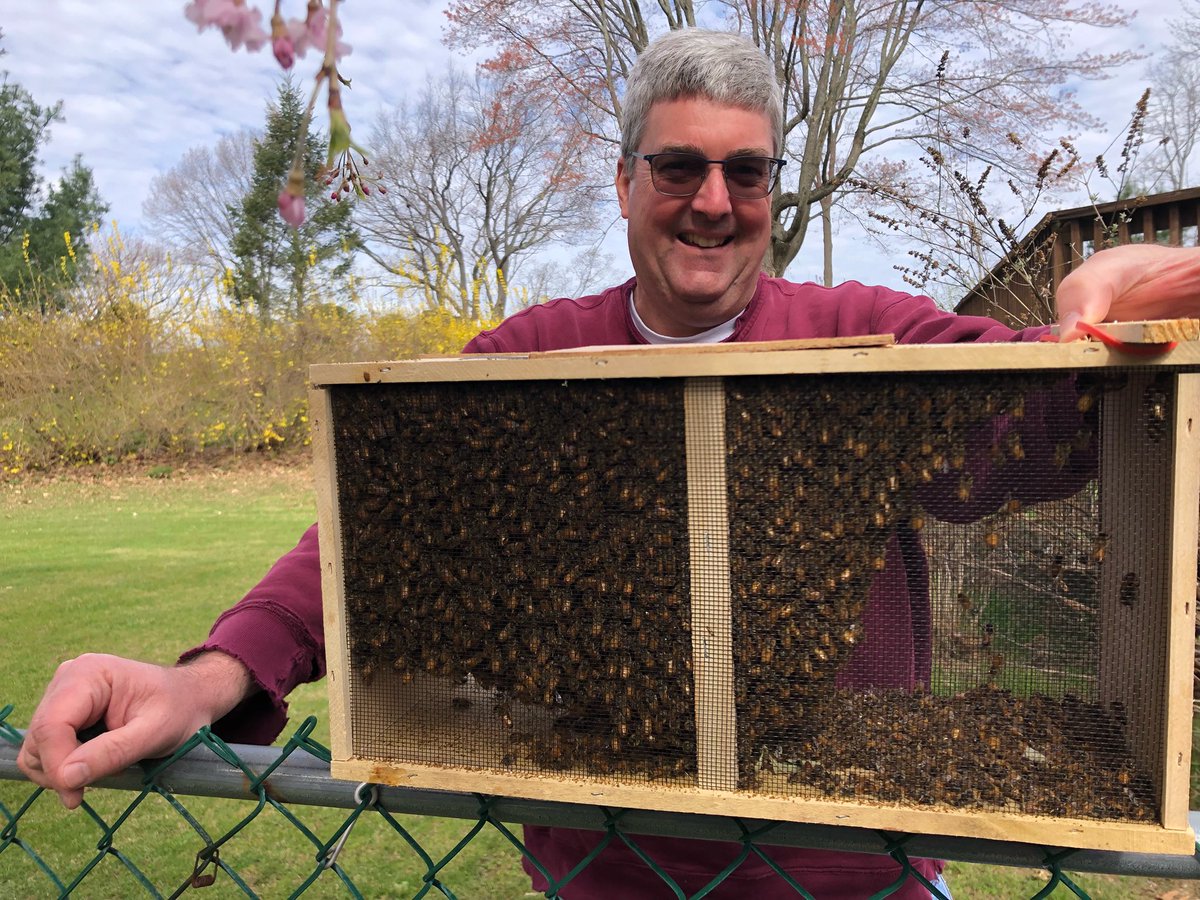 Bee Day at the Behrens house