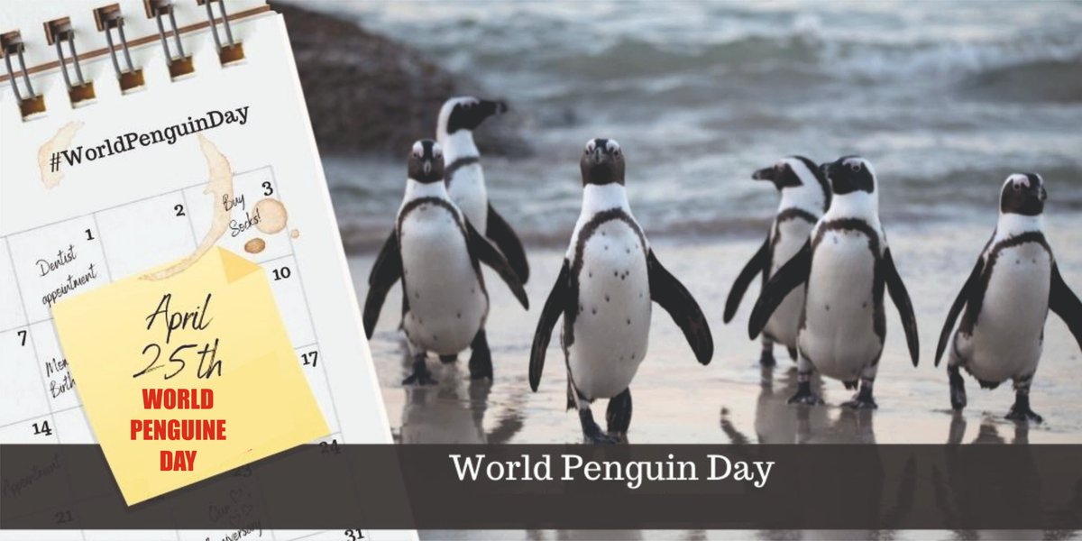 InfoGujcost's tweet photo. April 25 is being celebrated as #WorldPenguinDay to learn more about penguins & their environment.
Penguins do far more than make us smile, they play important roles in ecosystems both in the ocean & on land.
Visit @GujScienceCity to have a moment with #penguines. @dstGujarat https://t.co/gOaU4kkv0n