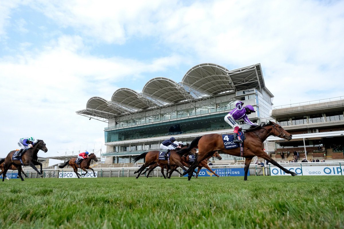 There is just 1 week until the 2000 GUINEAS! 🏇

Have you got what it takes to take home the TOP prize of £3000?

Register to play the Newmarket Guineas Game today ➡️ cloud9sports.co.uk

#C9S #Cloud9Sports #HorseRacing #thenewmarketguineasgame