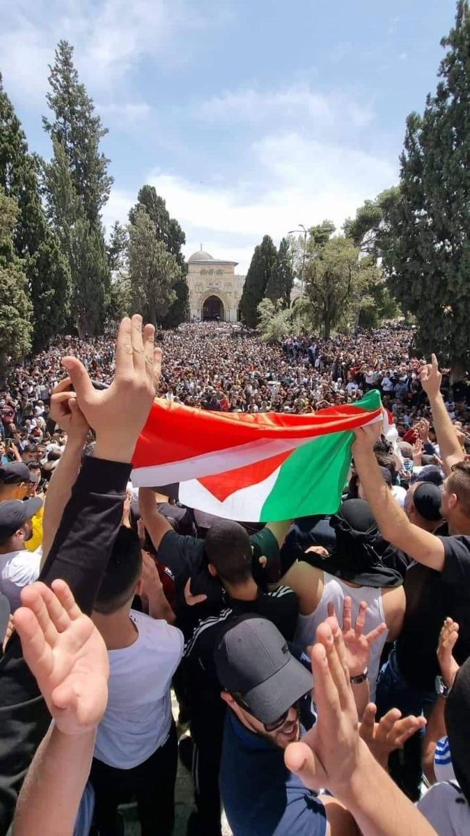 MuhammadSmiry's tweet photo. Palestine will be free https://t.co/fNBwr6FL0j