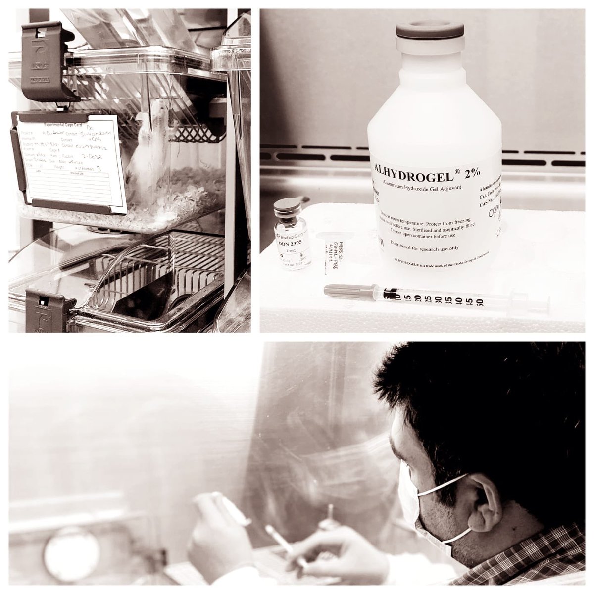 Anwar Hashem tweet media