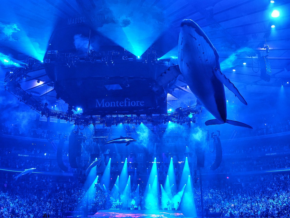 hersch's tweet photo. Happy underwater new years? https://t.co/zWVxDMmm5B