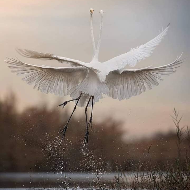 Jukka Forsström (@juki10000) on Twitter photo 