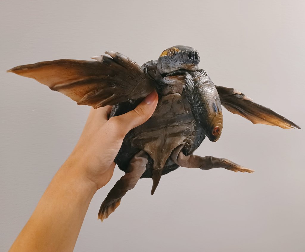 _Archesuchus_'s tweet image. Allaeochelys is an Eocene friend of mine. Fun fact: It is also the only tetrapod fossilized having sex. What a legend. 
 #paleoart #artdoll