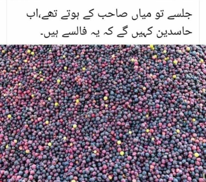 soldierspeaks's tweet photo. #نواز_شریف_میرا_انتخاب https://t.co/gmhLdhiyQO