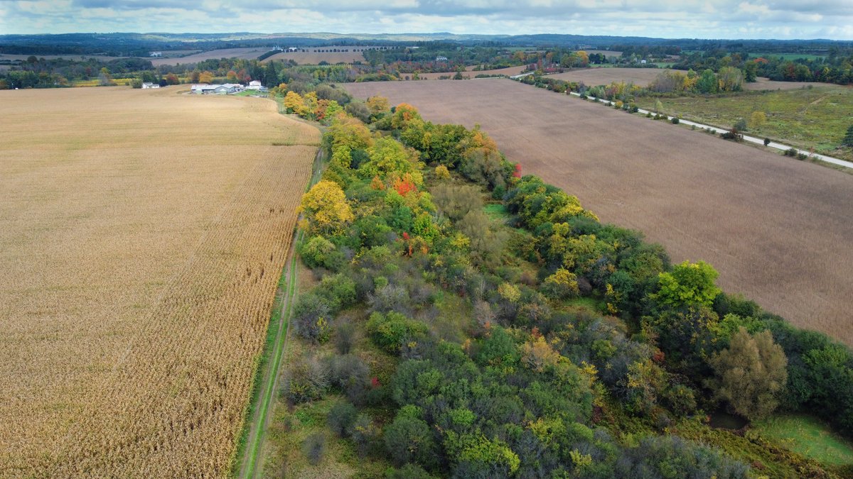envirodefence's tweet image. Forests 🌳 and farmland 👩🏽‍🌾 in the Carruthers Creek headwaters are at risk  

Follow @NoSprawlDurham or visit stopsprawldurham.com to learn more. 

#pickering #durhamregion #YoursToProtect #YTPWKND