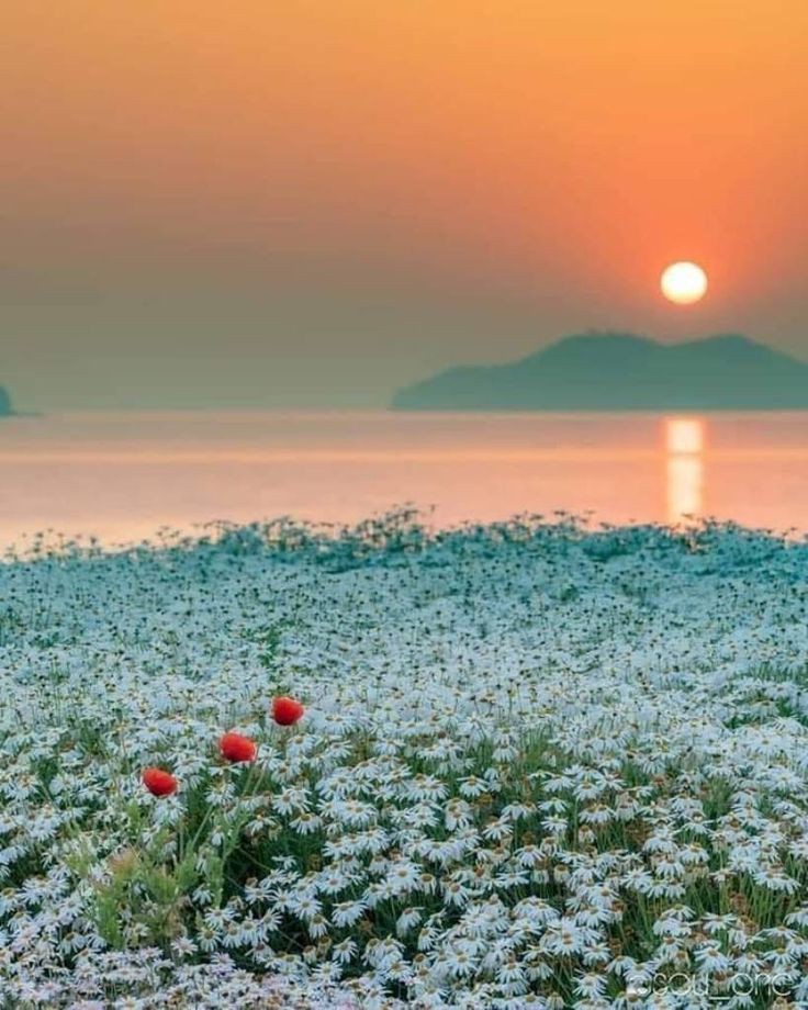 "Kıştan sonra baharı verdiğin gibi, sıkıntıdan sonra da bize ferahlık ver Allah'ım...