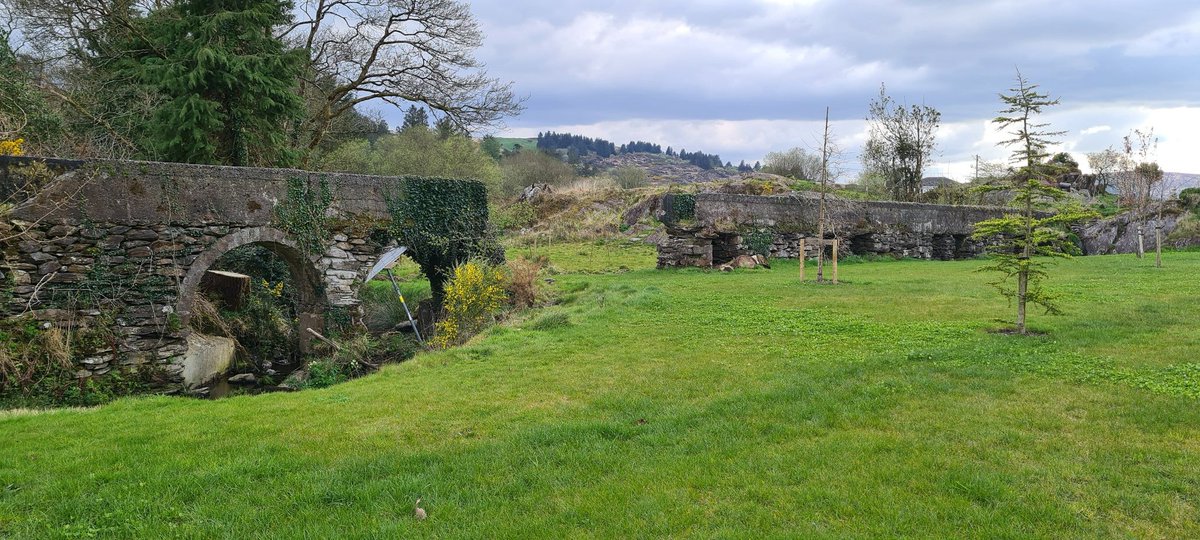 Níor chuala mé tada ó Chruinniú na bhFliúit, ach chonaic mé an pháirc deas nua i gCúil Aodha. <a href="/CrnabhF/">The Flute Meeting</a>
