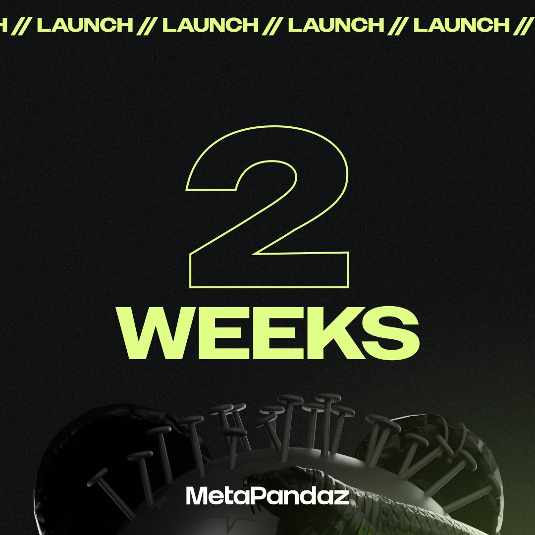 MetaPandaz tweet media