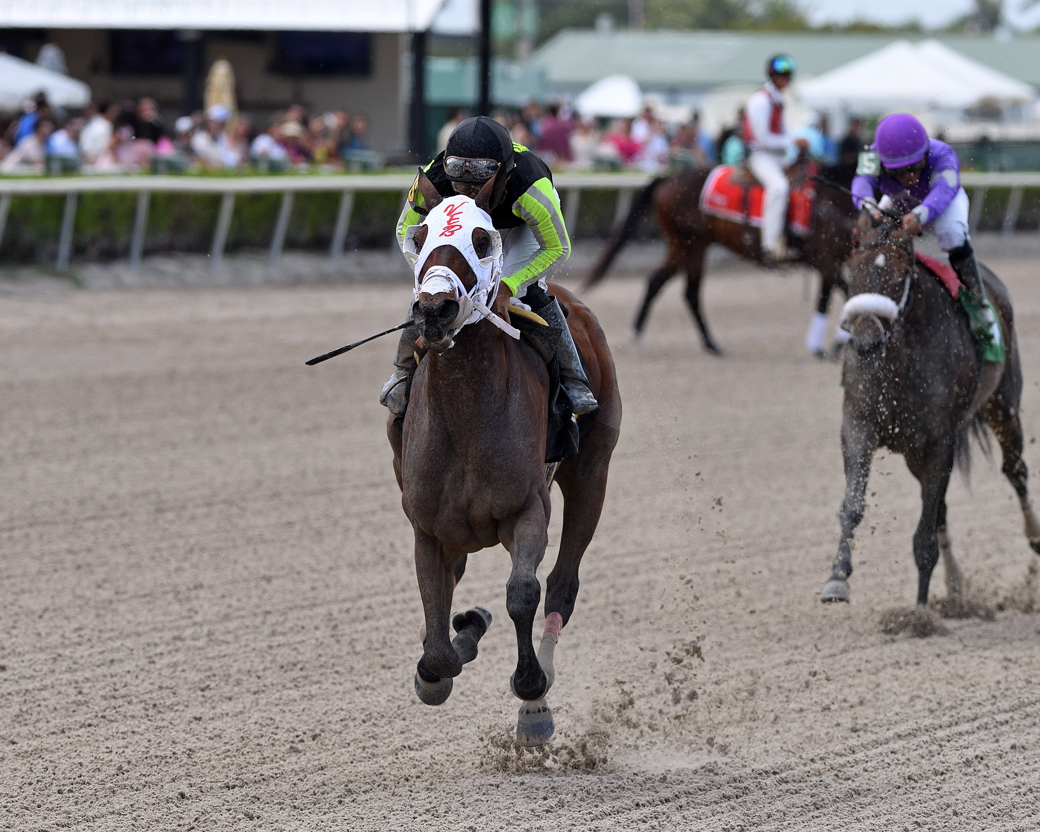 Gulfstream Park Scratches Today - p2sirqg