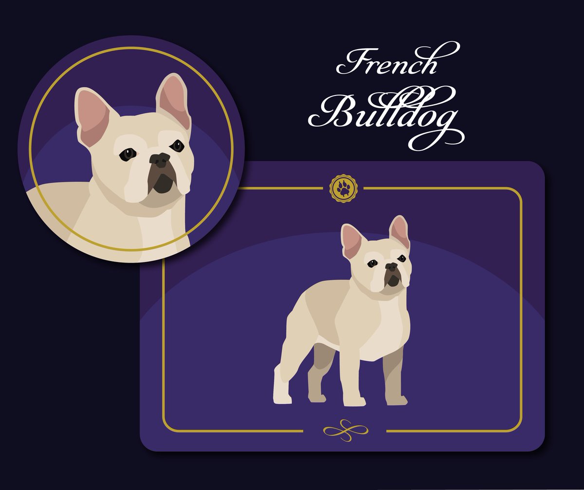 Crypto Kennel Club tweet media