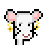 BoomBoomNFT tweet media