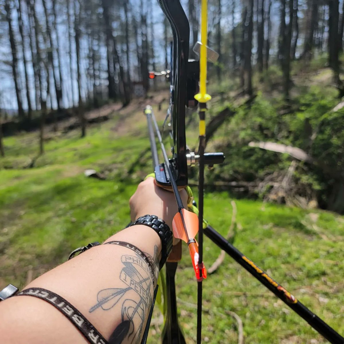 lady_veritas22's tweet photo. Lovely day to be out on a field archery course! Thanks to Joey's Bowstrings for the fantastic flow yellow bowstrings!! Super visibility and arrow flight! #rebelgearoutdoors #XsWings #psearchery https://t.co/bj3RQCVLy5