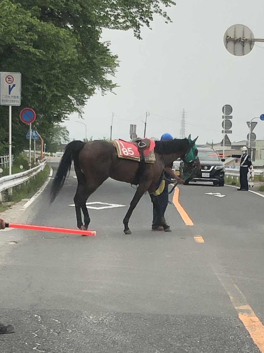 nico0160's tweet photo. かさマルシェに向かう途中
笠松競馬🏇の近くを移動してたら
練習を終えたお馬さんが😊
名前も知らない子だけど
お疲れさん🏇
朝からほっこりした気分に😊
さて僕も
今日も一日頑張ろう💦
#笠松
#casamarche
#かさマルシェ
#nicowoodfactory https://t.co/jmSbOa1UMq