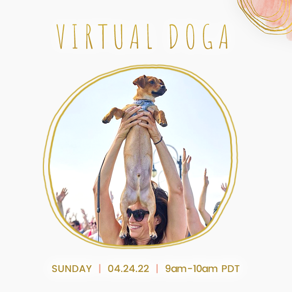 Let's raise our fur babies up to show our appreciation for them with Sunday Doga on Zoom Tomorrow.

Sunday
04/24/22
9am-10am pdt

Click the link below to sign up b4 start time: stephkang.as.me/virtualdoga

All you need is love of your dog to join. 🐶💖

- mailchi.mp/dd8def721796/e…