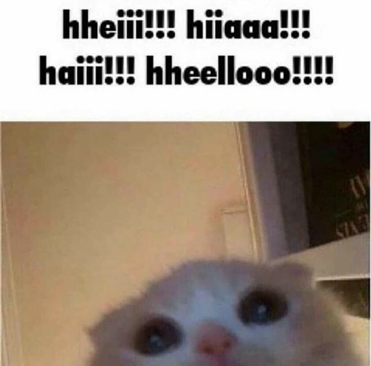 TIMEBOMB SHIPPER WHO IS ALIVE. HEY EVERYONE IT'S ME MAKE UP A TIMEBOMB DID U MISS ME? IM BACK but not rly, still got a lot of shit to do BUT IT'S A START. 10 likes and I'll do a voice reveal (like later later tho when I wake up, It's 3am in my country lol)