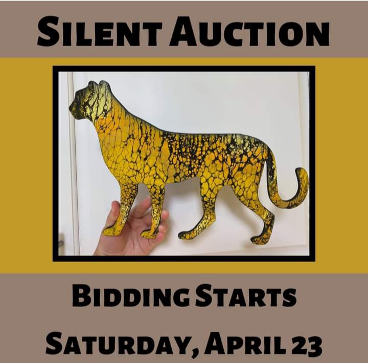 Action for Cheetahs in Kenya tweet media