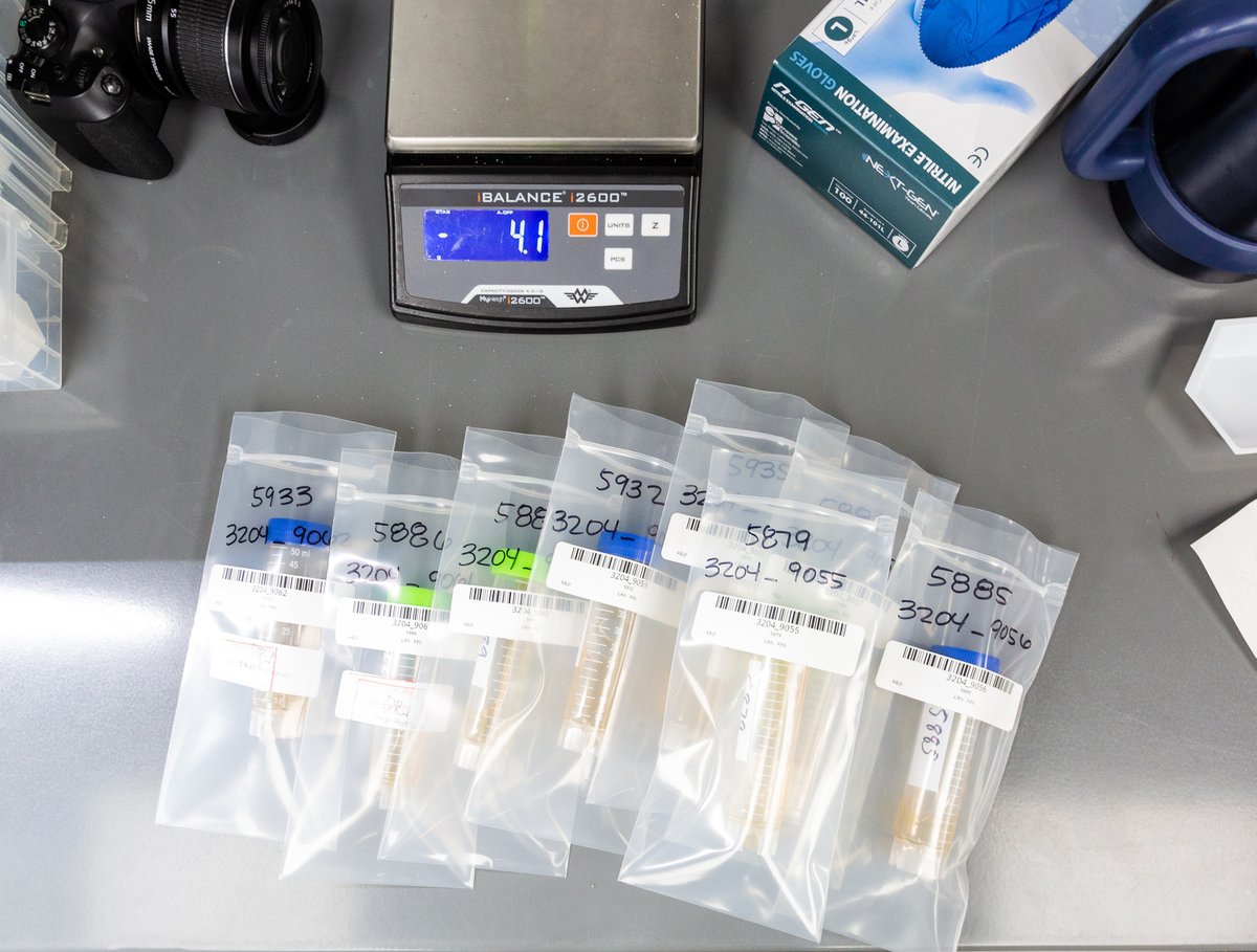 LabsEncore's tweet photo. We offer expedited testing and services. Contact us for more info.

#encorelabs #testedbyencorelabs #testing #services #cannabis #california #growers #distributors #dispensaries https://t.co/vmCzizyVL0