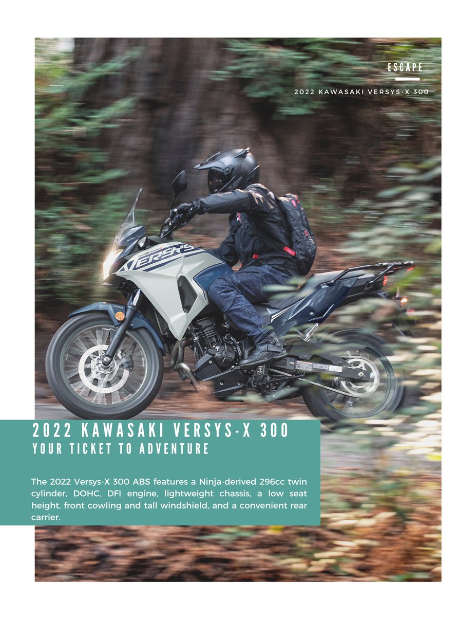 Cycle Springs tweet media