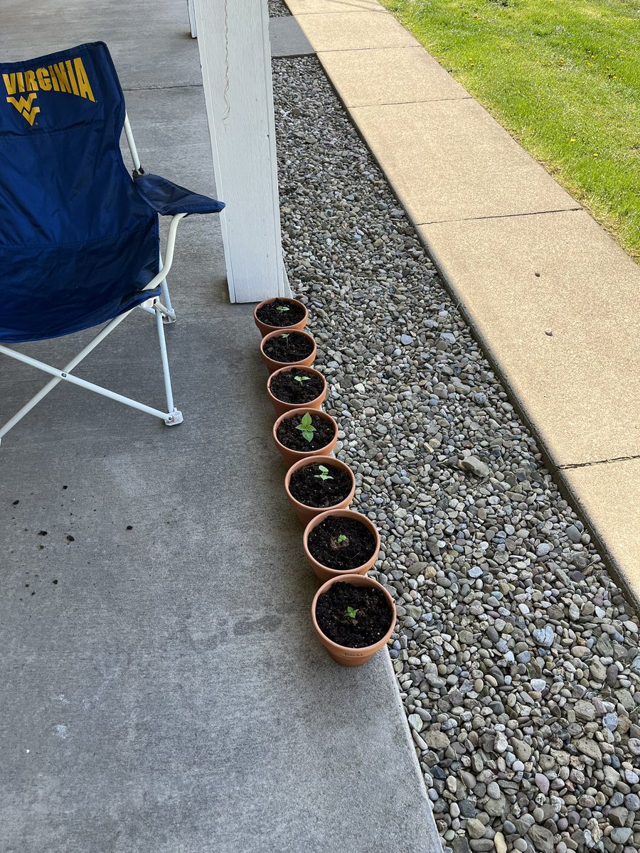 TheOnlyTyler94's tweet photo. They call me the pepper man https://t.co/A62ckRdeMh