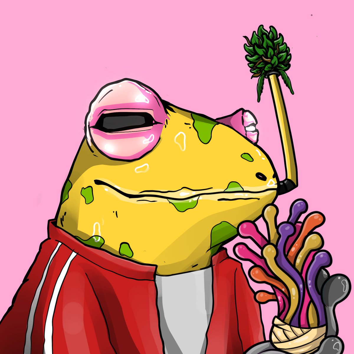 TrippyWaveNFT's tweet photo. @Einar_SoLana @TheStonedFrogs #ribbit #frogsfollowfrogs https://t.co/IvF874DmFt
