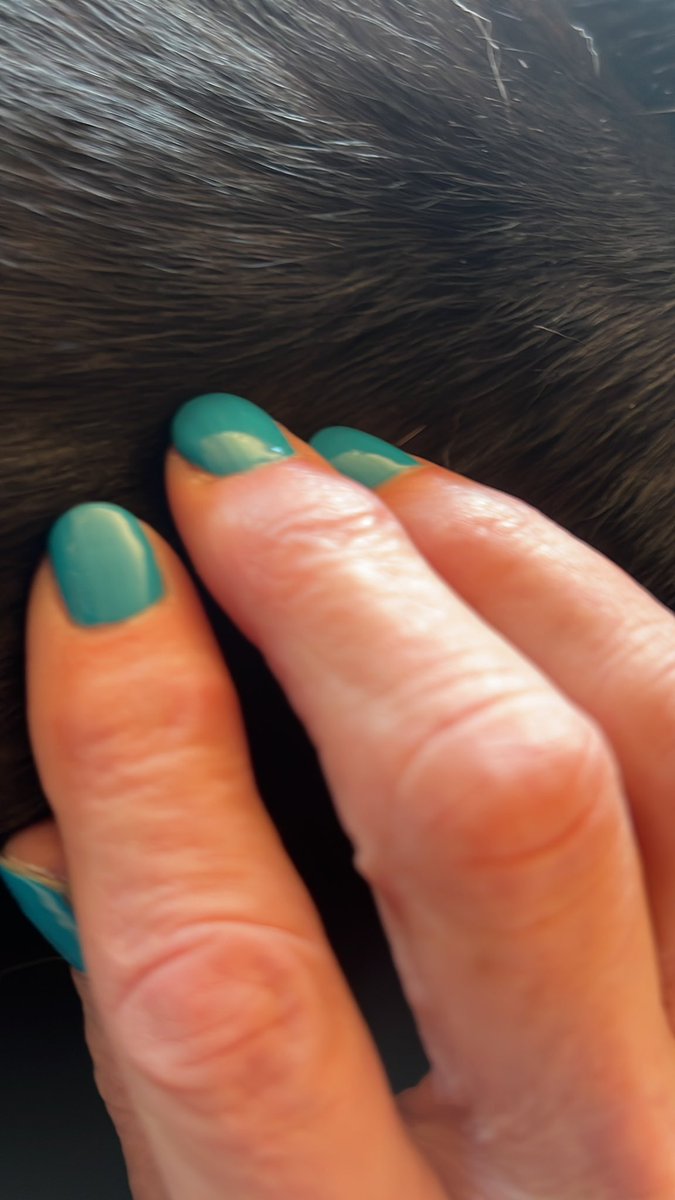 shaboom's tweet photo. My little sis came by and took me out for a manicure. #DisabilityWins https://t.co/iP2fJGn8js