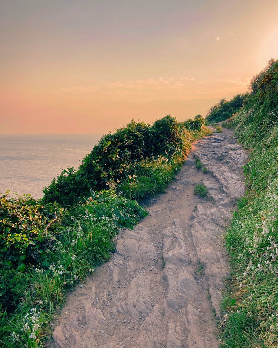 claireandethel's tweet photo. Sunset stroll along the coast path. Where the sky, sea and earth meet.
#sunset #seascape #sea #southwest #vitaminsea #coastalliving #coastpath #coast #cliffs #cornwall #polperro #distanthorizons #wildremedies #walkswithethel https://t.co/YdUVOxsBN6