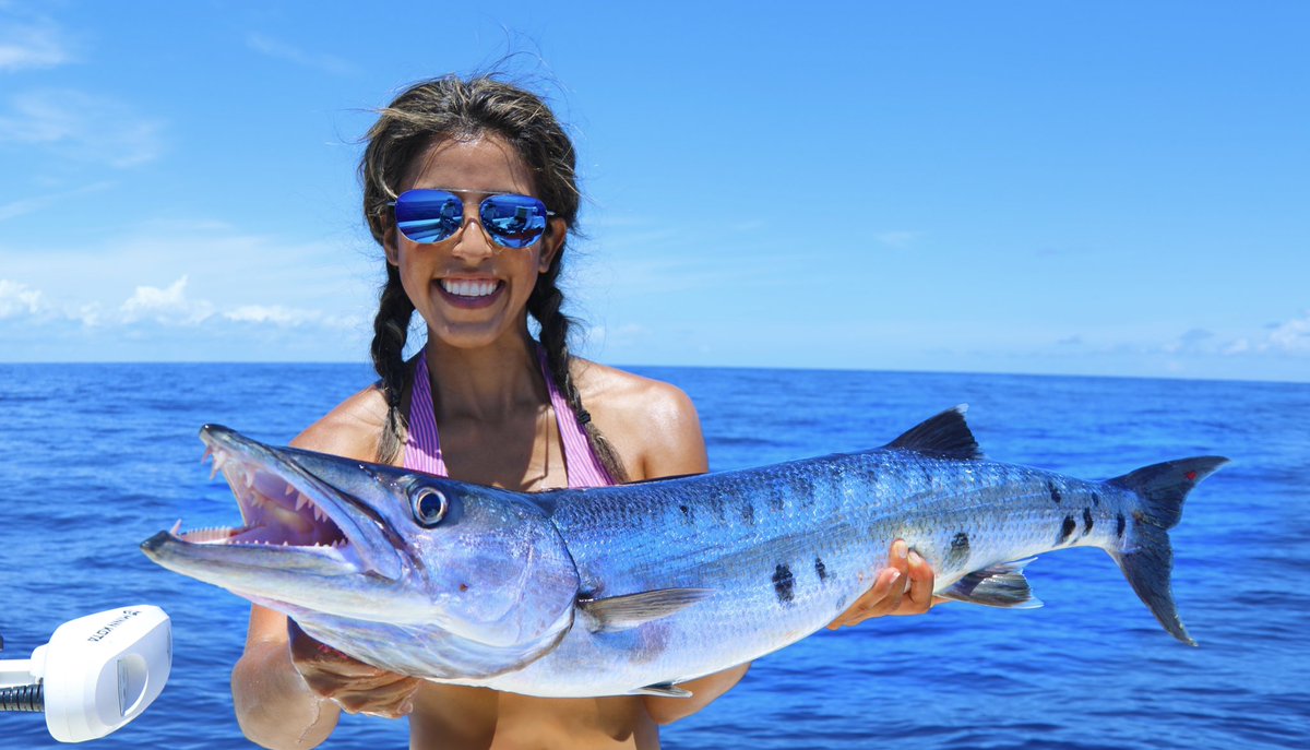 OooO Barracuda! 🎣