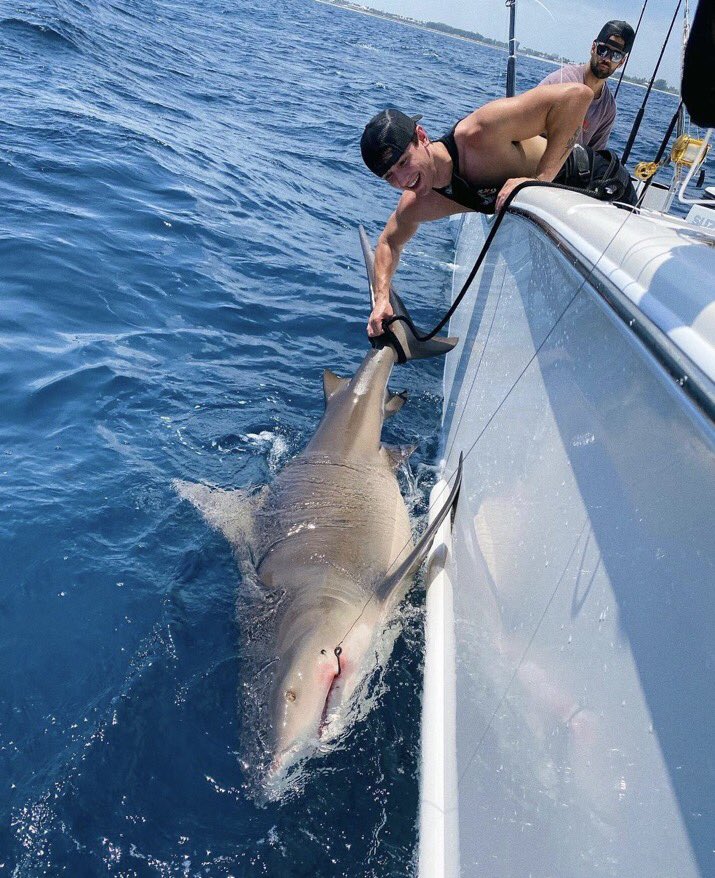 🤝| Fechamos parceria com o <a href="/PortalBryceHall/">Portal Bryce Hall || Fan Account</a> 
Sigam e ativem as notificações para não perder nenhuma novidade sobre o youtuber, tiktoker e influencer Bryce Hall 🥂♥️