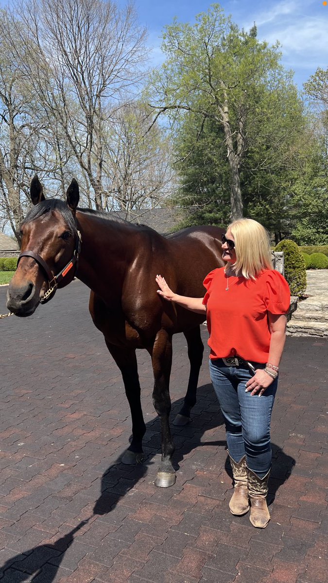 Oh no biggie, just touching a Triple Crown winner 😍🥰❤️ #AmericanPharoah @coolmorestud