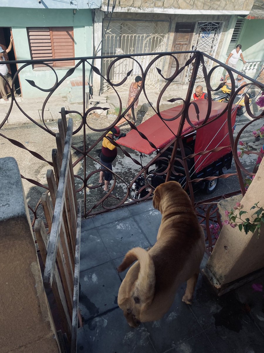 erick__h's tweet photo. es la segunda moto que cae en el bachazo de frente de mi casa. https://t.co/BpYZKyypf4