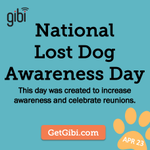 Photo by Gibi Pet GPS Tracking (@GetGibi)