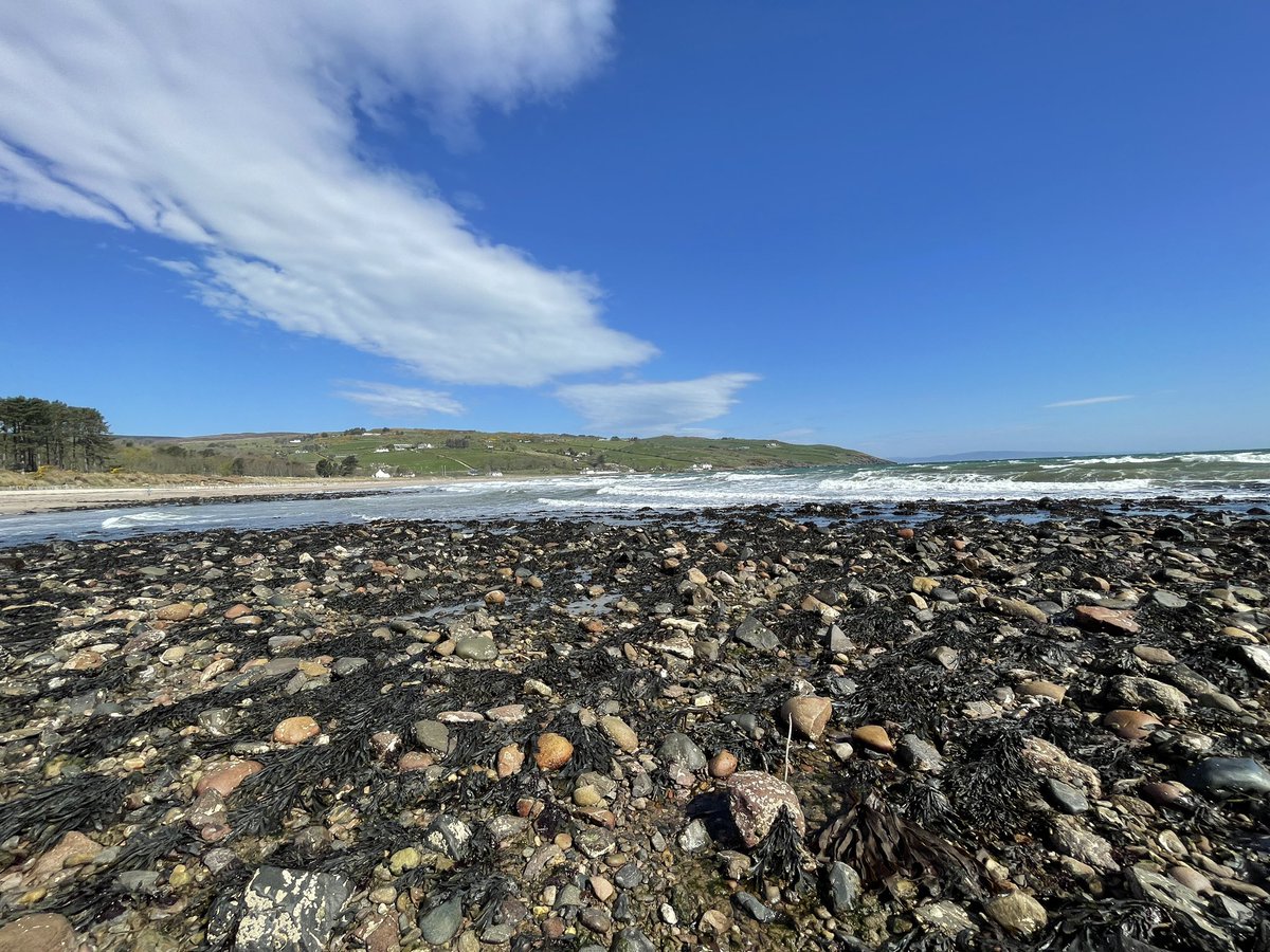 Alan Bratton (@alanbratton) on Twitter photo Very low tide very choppy sea very sunny beautiful Cushendun this morning. <a href="/bbcniweather/">BBC NI Weather</a> <a href="/LoveBallymena/">Love Ballymena</a> @beautifululster <a href="/VisitCauseway/">Visit Causeway Coast & Glens</a> Very low tide very choppy sea very sunny beautiful Cushendun this morning. <a href="/bbcniweather/">BBC NI Weather</a> <a href="/LoveBallymena/">Love Ballymena</a> @beautifululster <a href="/VisitCauseway/">Visit Causeway Coast & Glens</a>