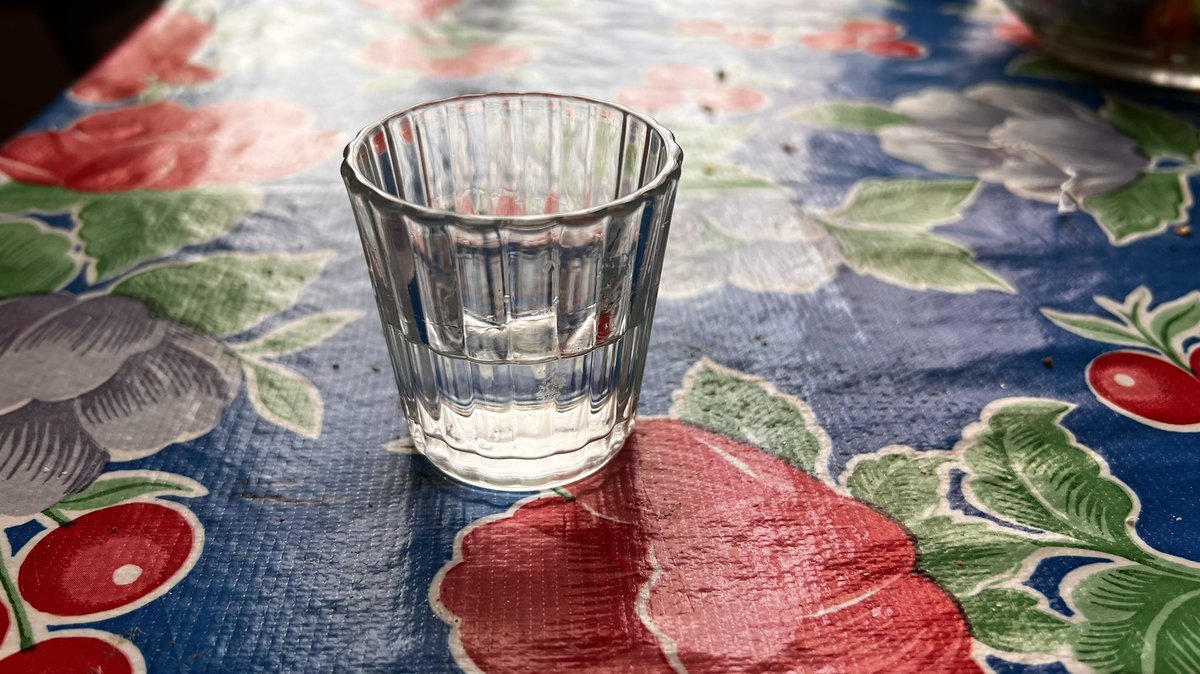 gudinnicortina's tweet photo. #jabali #salud #sabado #paz #amor #opez https://t.co/bd2RYdxMpo