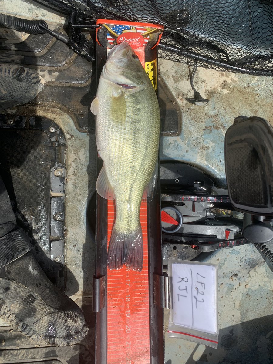 RB_Bassin's tweet image. Managed a 4th place finish with the @caneyfoutdoors #ProAngler360 on a tough day of fishing for everyone.  Still scraped out a limit, @Abu_Garcia reeled em all in for the #ketchboard.   The @ZOOMBaitCompany lizards are getting it done for sure. And my #kayakkushion kept me comfy!