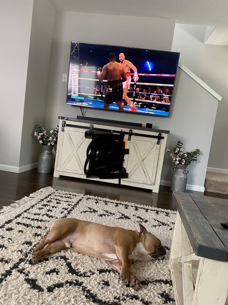 sjdemps's tweet photo. Benito was already KO’ed #TysonFury #TysonFuryvsDillianWhyte #TysonVsWhyte #tysonwhyte #boxing https://t.co/3r0Pw7TaB4