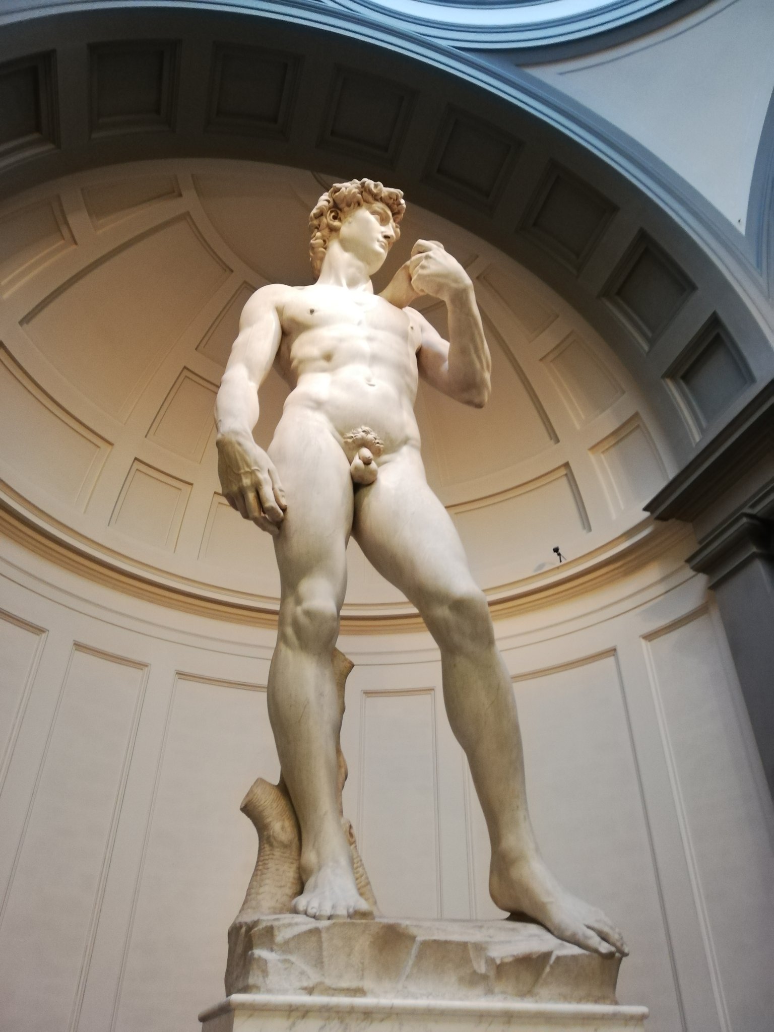 じゅんじゅん ミケランジェロの ダビデ像 は1501 04年に制作され 現在フィレンツェのアカデミア美術館に展示されています 高さ3 ｍ台座を入れると5 17ｍ 重さ6ｔで実際に見るとかなり大きい この作品は旧約聖書にイスラエル王国2番目統治者ダビデ