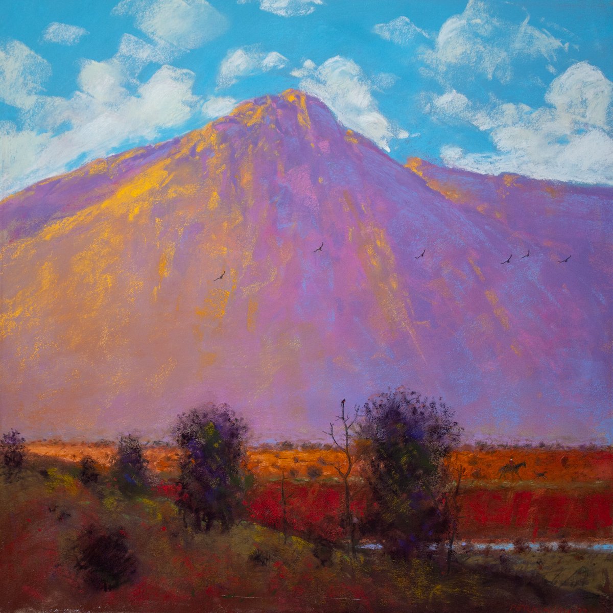 Tom Perkinson tweet media