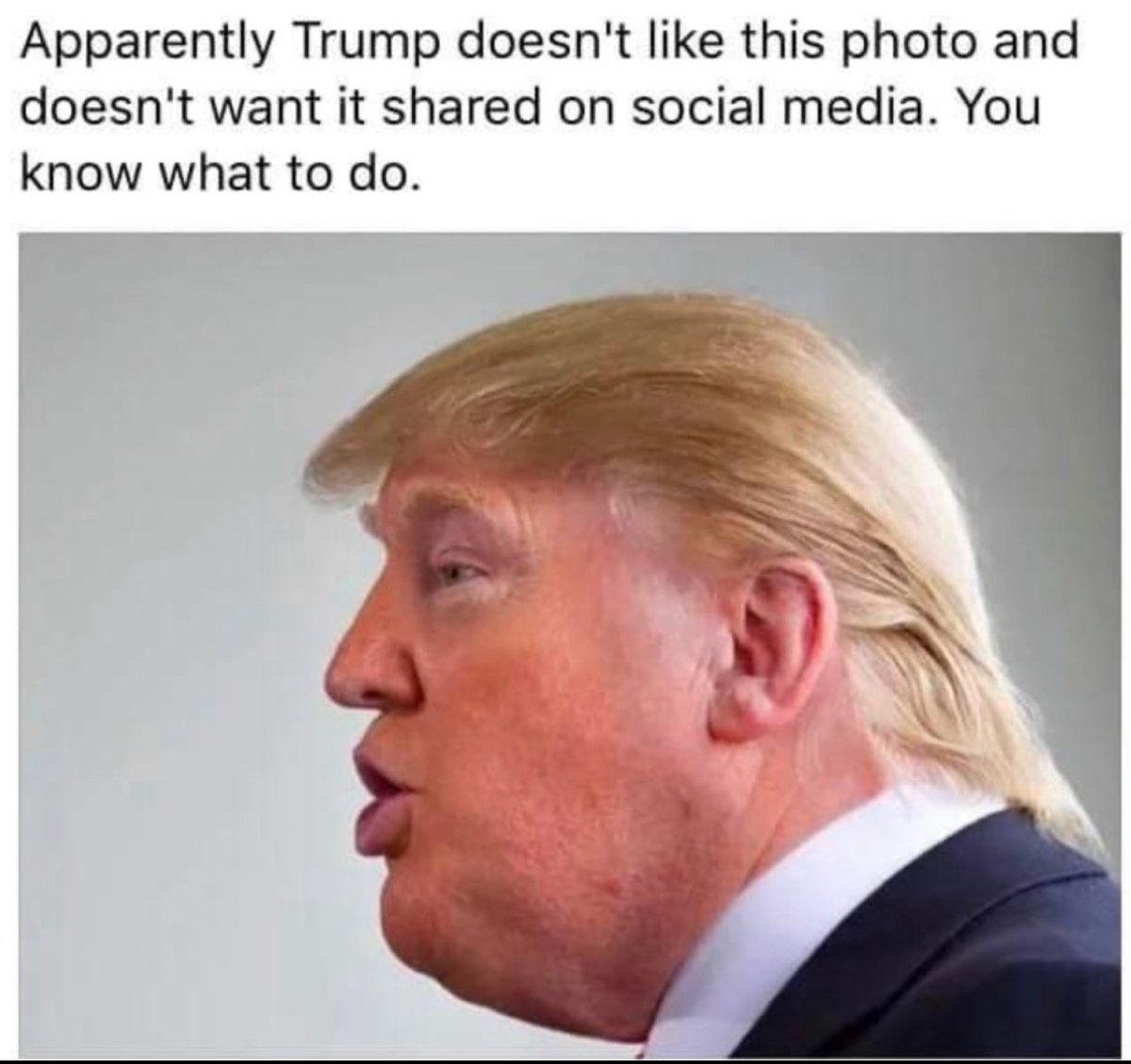 DumpDrumpf20's tweet photo. @donwinslow https://t.co/l1Btcx0sVg