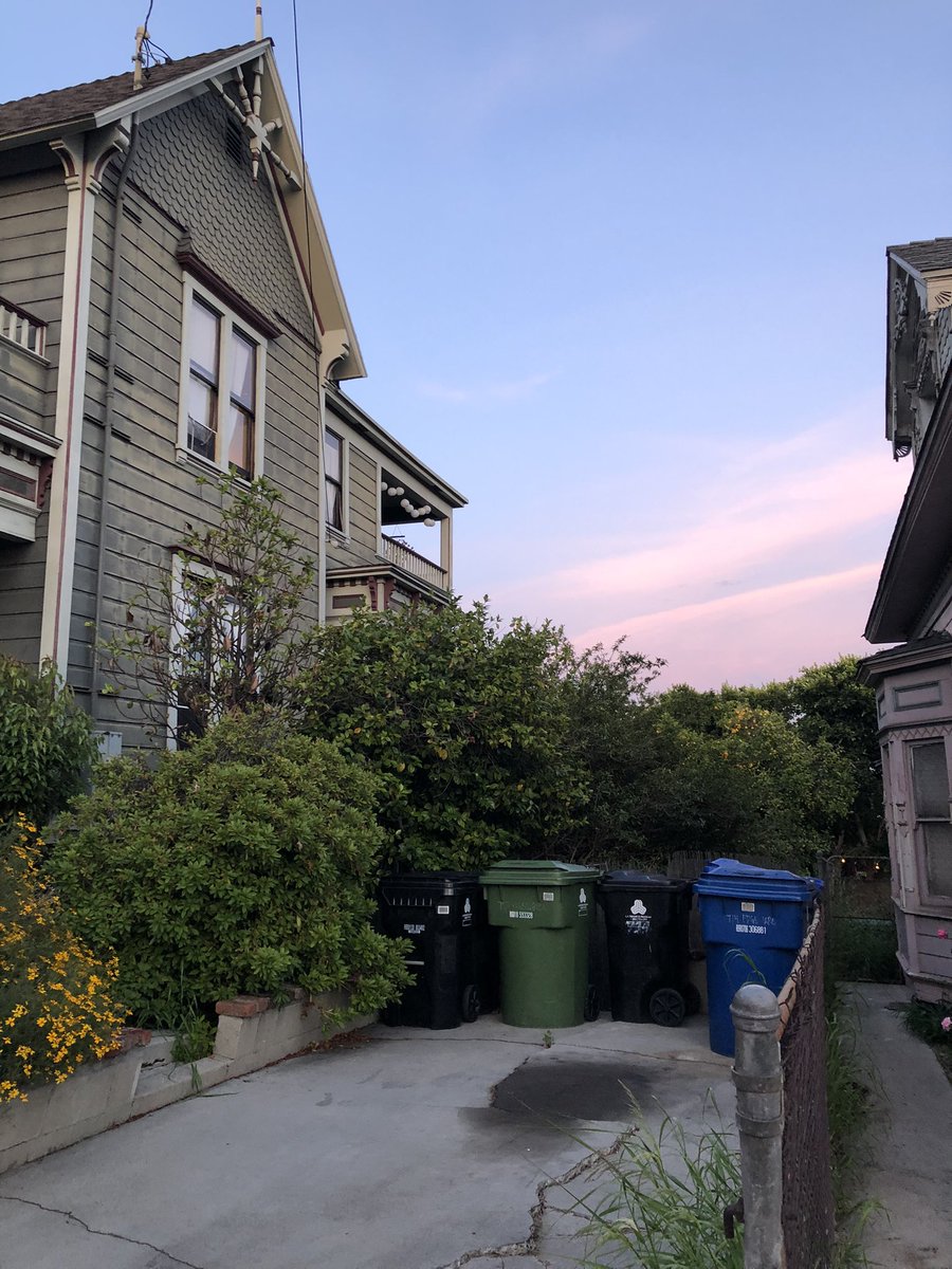 KaitlinEBrennan's tweet photo. My trash bins have looked worse!! https://t.co/Z4M1eyq62Y