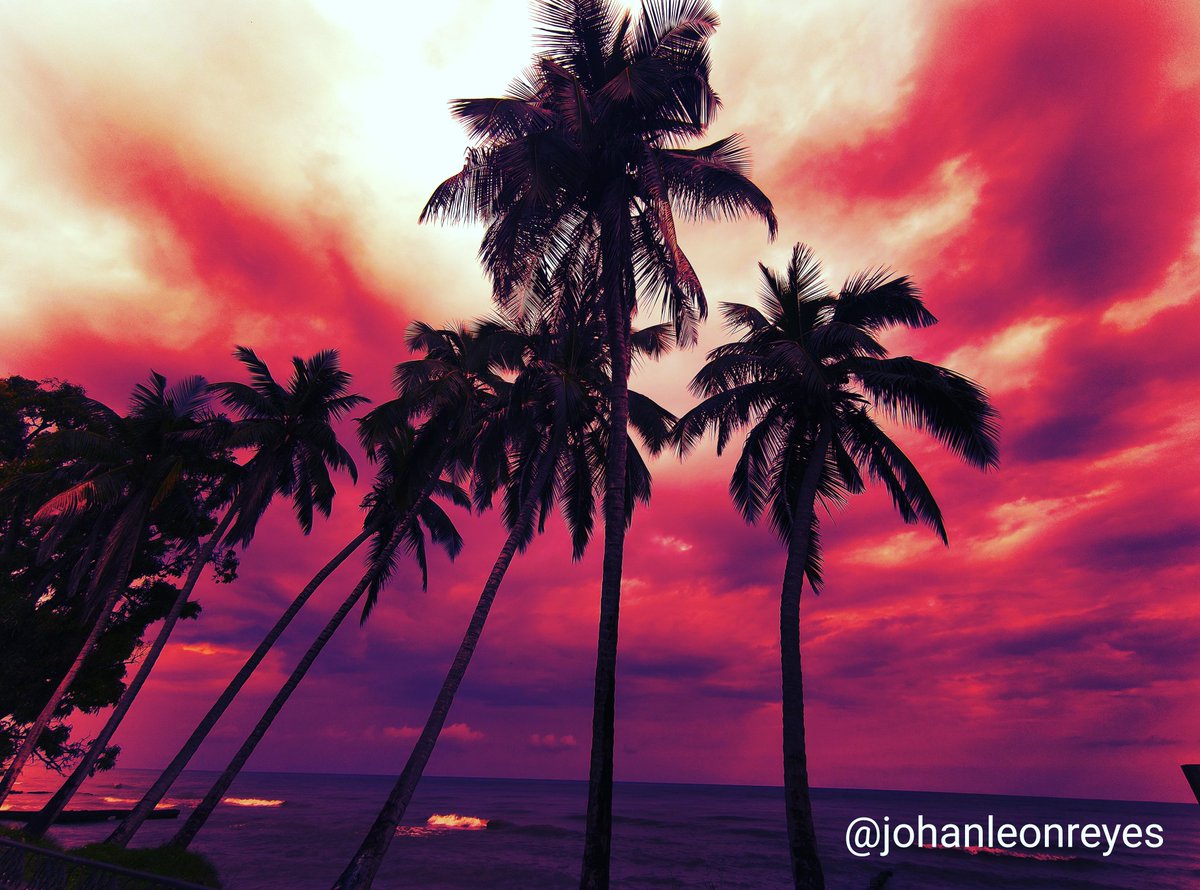 johanleonreyes's tweet photo. Siempre he amado cómo los cocoteros le hacen reverencia al lago de #Maracaibo. Sí, me tomé libertades creativas con esta imagen de la costa de #Bobures, aunque la magia es la misma. https://t.co/ZapPnLLQ9w