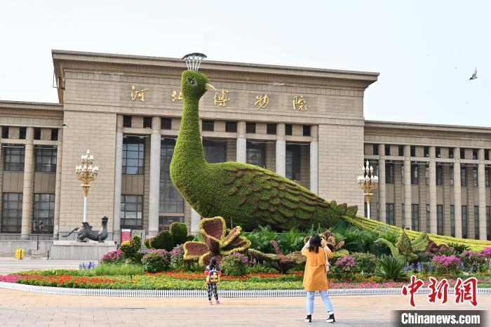 PDChinaLife's tweet photo. A giant flower bed in the shape of a peacock spreading its tail feathers becomes an eye-catcher in front of the Hebei provincial museum in Shijiazhuang, north China’s Hebei Province. https://t.co/TlzXuBy2e8