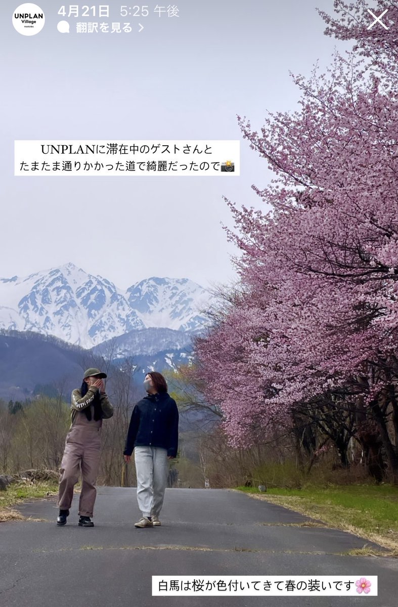 unplan_official's tweet photo. @_hotema_ ちなみに最近の白馬はこんな感じです！
桜満開🌸あたたかくなってきて最高の季節がやってきました😊💕 https://t.co/1I2s4jgwC3