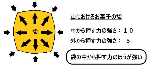 子ども科学電話相談 2424 どうしてネコには鼻くそがないの 動物の先生 不思議なことに鼻毛があるのは人間ぐらいなんだよ 7ページ目 Togetter