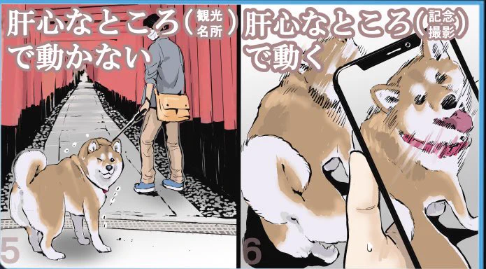 柴犬を飼っている人は共感を覚えるかも？柴犬との旅行の大変さを描いたイラスト！