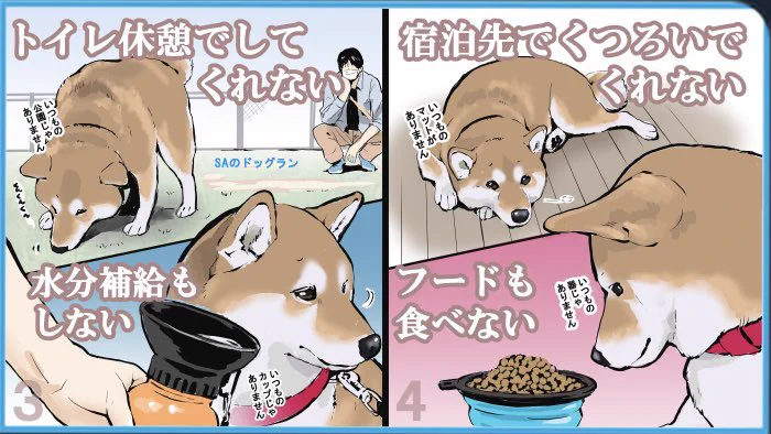 柴犬を飼っている人は共感を覚えるかも？柴犬との旅行の大変さを描いたイラスト！