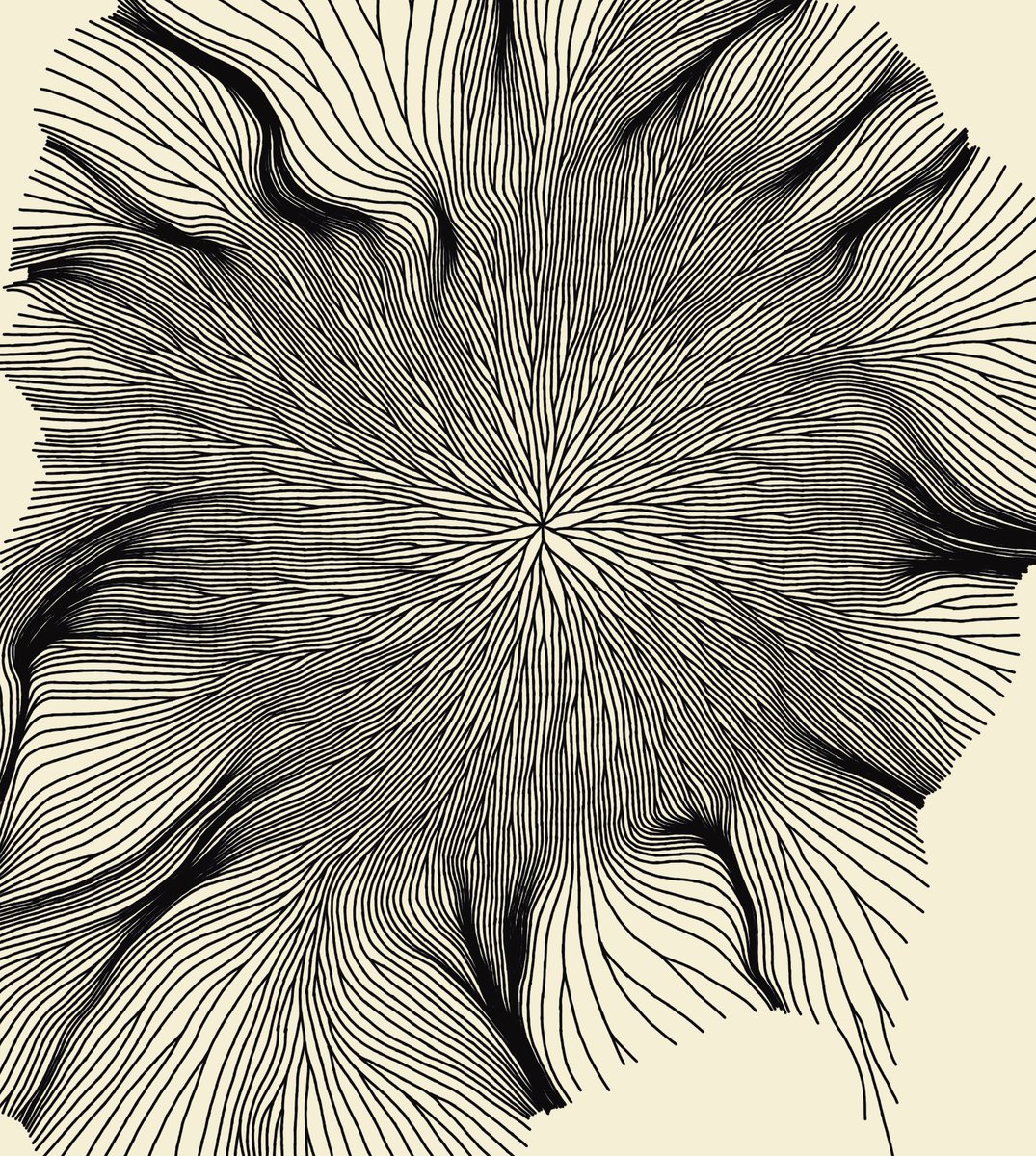 clintfulkerson's tweet photo. still growing
drawing in progress https://t.co/8Achd80p6E