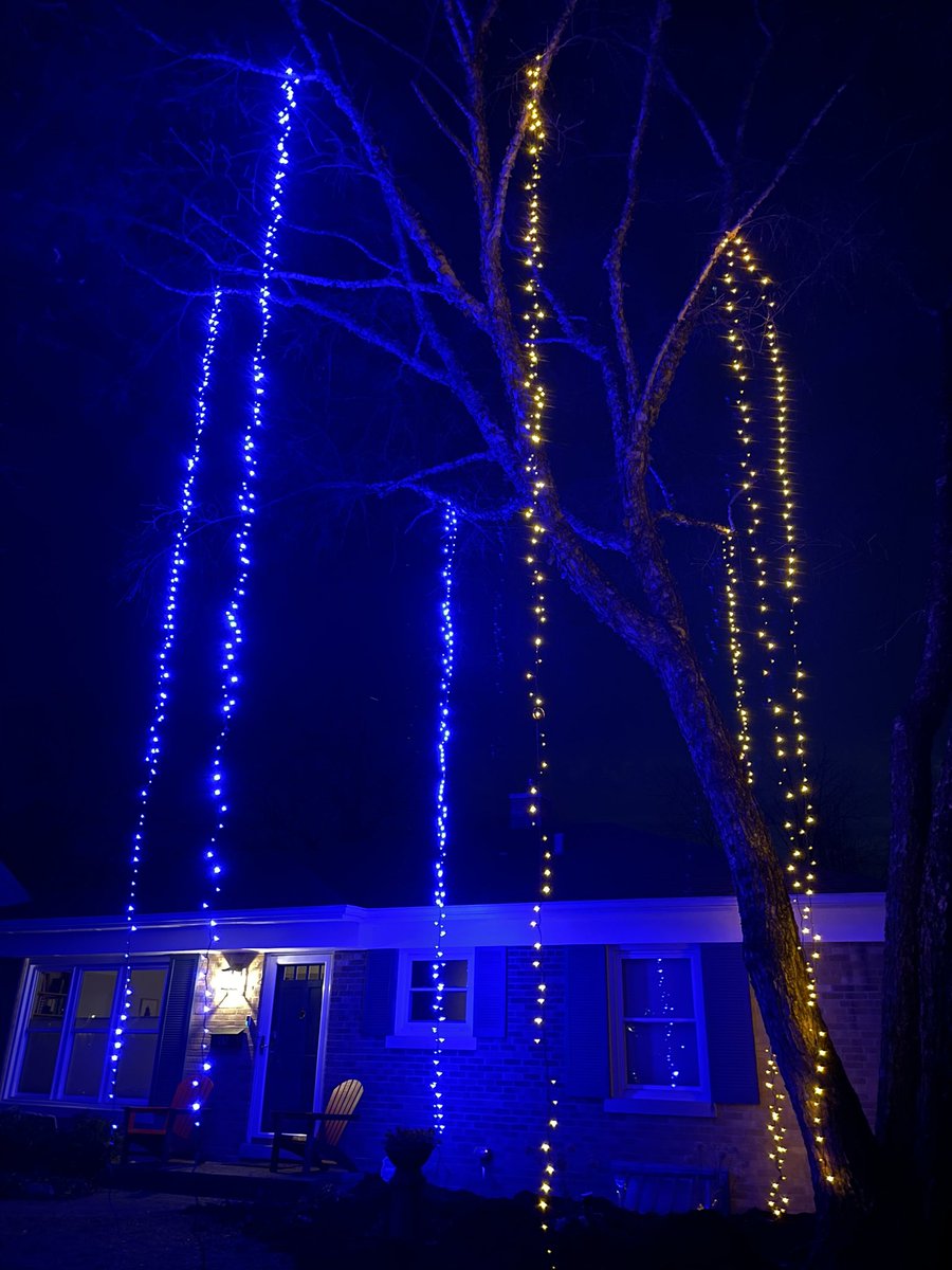RobertaSweet15's tweet photo. @strategywoman Thinking of you all from Chicago, USA. My sons hung lights from our birch tree to support Ukraine. Slavs Ukraini. https://t.co/OdCmG0rZgV