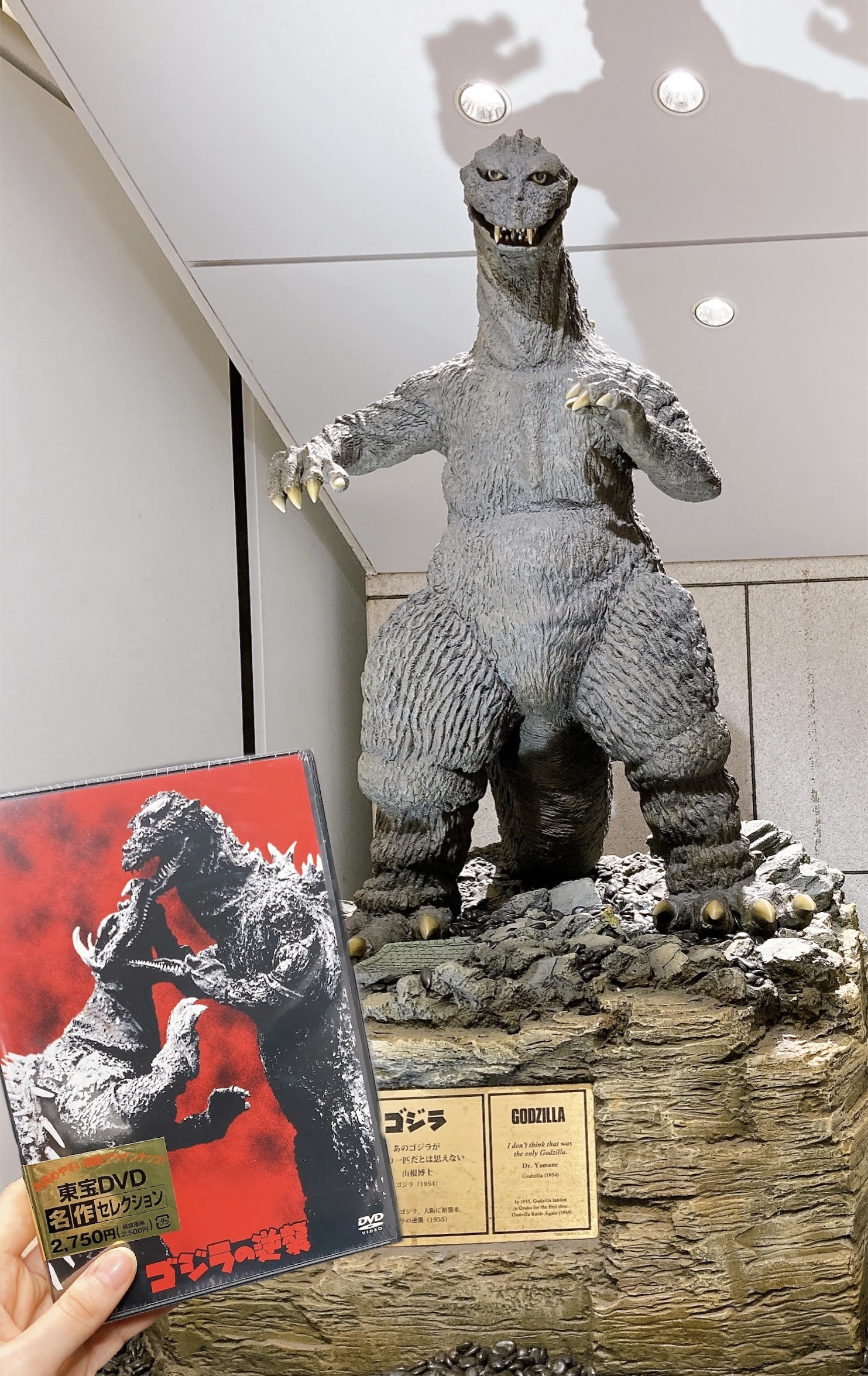 ゴジラ・ストアOsaka on X: ゴジラ・ストアOsaka on X: